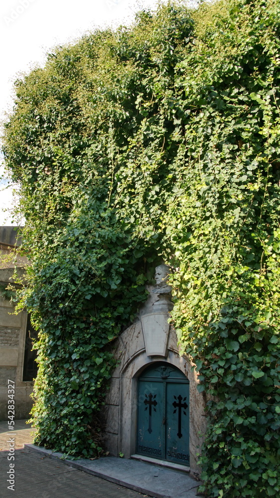 Crypt covered in ivy in La Recoleta Cemetery in Buenos Aires, Argentina