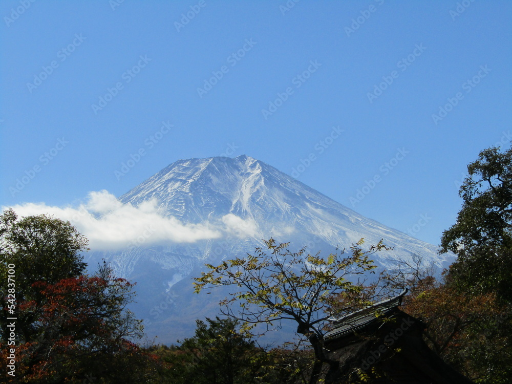 Obraz premium 世界遺産の富士山