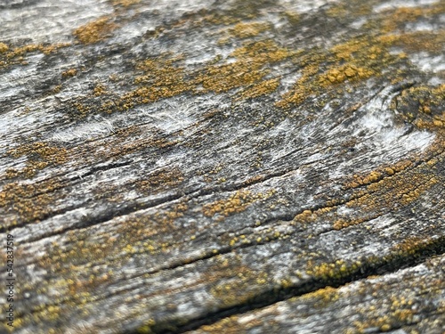 wood texture
