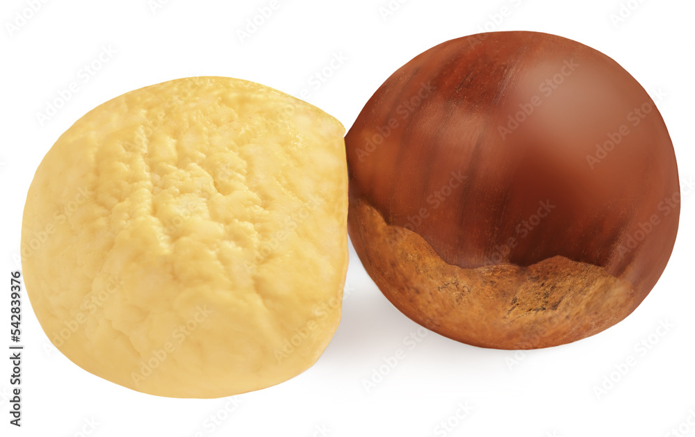 Ripe chestnuts isolated on white background. Raw Chestnuts for Christmas closeup. Ripe chestnuts isolated on white background. Raw Chestnuts for Christmas closeup.