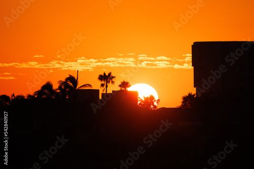 Sunset over buildings in Sarasota  Florida
