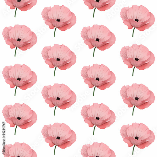 Maki - różowe rozkwitnięte kwiaty na białym tle. Powtarzający się wzór na okładkę, tapetę, papier pakowy, tekstylia, tło, opakowanie, plakat.