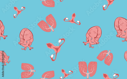 Heart, lungs and ovaries on a blue background. seamless patterns