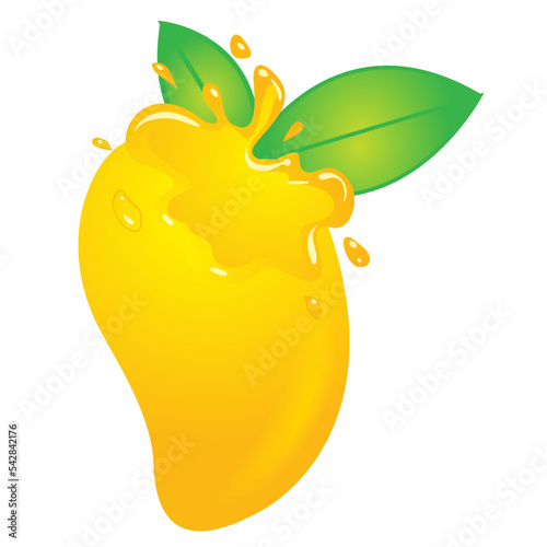 Mango logo vector .