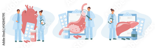 vector illustration in a flat style - a set of pictures on the theme of doctors and examinations in the clinic. cardiologist, gastroenterologist, hepatologist