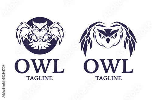 Owl bird logo, education owl, wise owl logo design