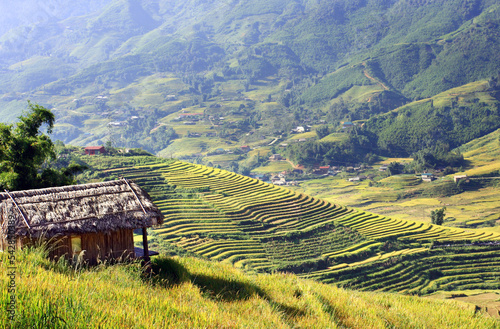 Terraced rice field in Sapa, Vietnam. The terraced rice paddy-fields in Sapa are the most beautiful ones in Vietnam