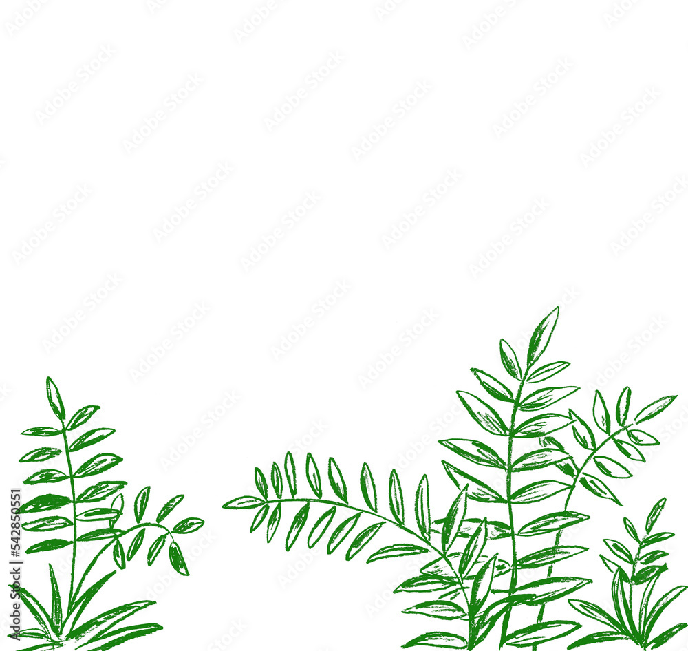 Fototapeta premium green grass bushes on a white background