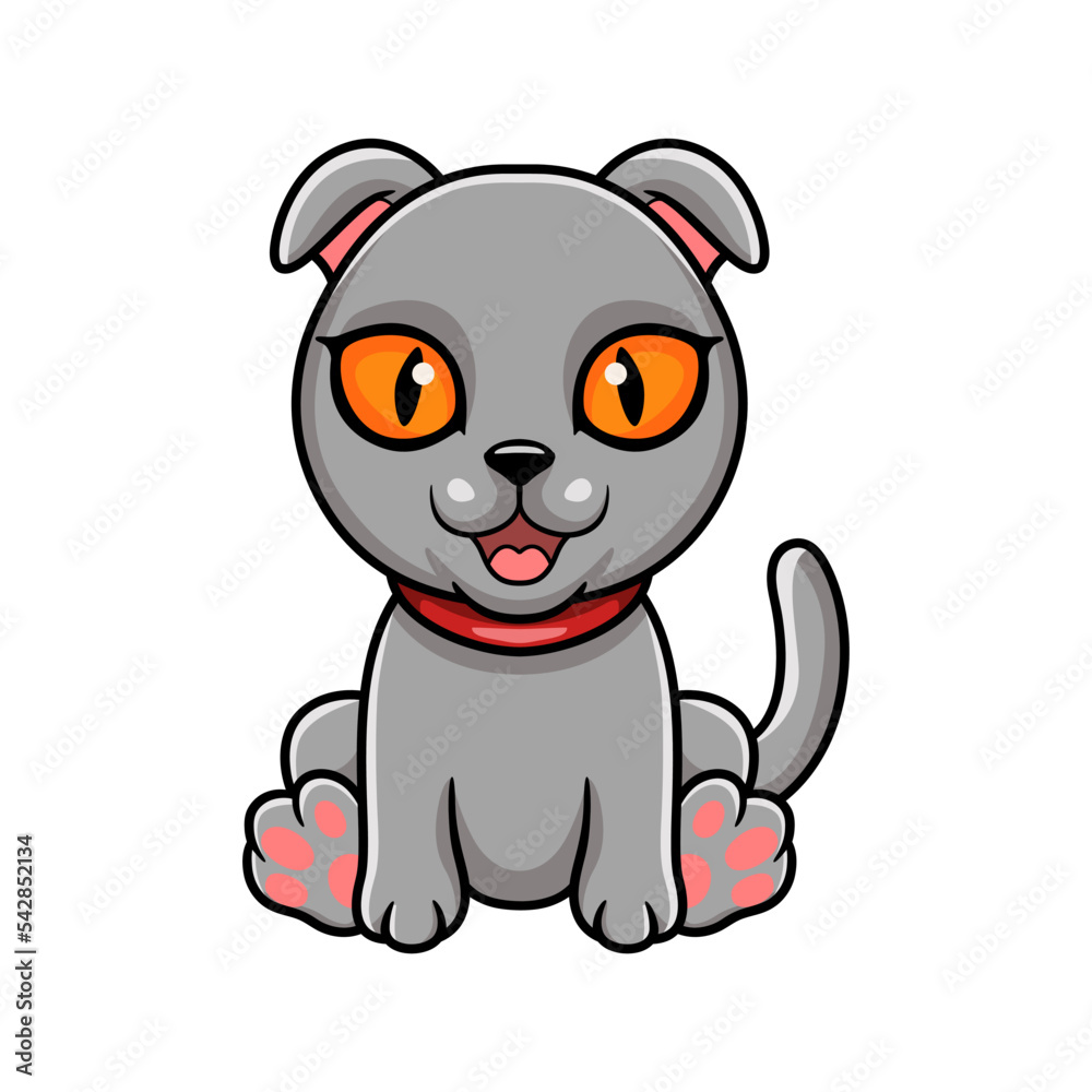 Obraz premium Cute scottish fold cat cartoon