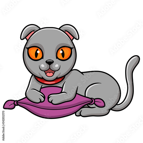 Cute scottish fold cat cartoon on the pillow