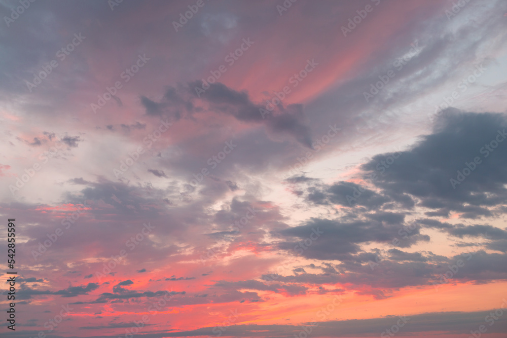Pink Sunset Sky with Different Clouds.
