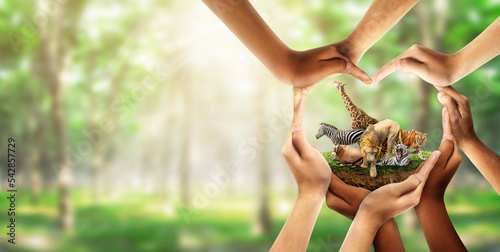 Wildlife Conservation Day. wildlife protection, multiracial human come to build hands in shape of heart to protect the environment. promote conservation wildlife. green background Sun light. Ecology. photo