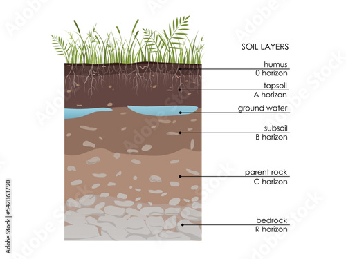 Soil layers diagram with underground water. Geology Underground infographic. Scheme with grass, roots, stones, humus, sand, stones. Land in the section. Mineral particles. Educational illustration