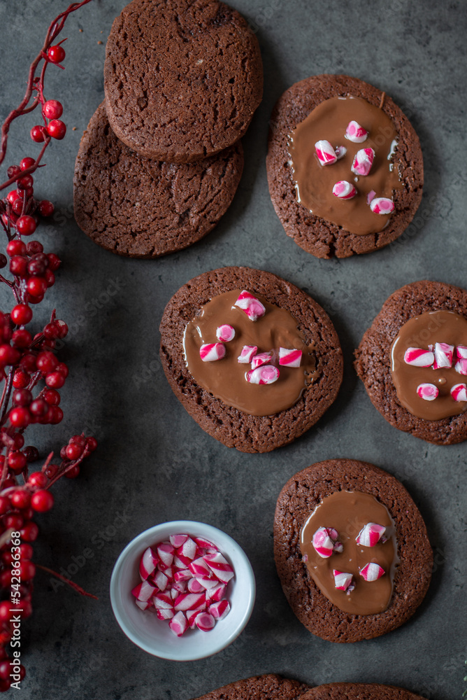 chocolate candy cane christmas cookies Stock Photo Adobe Stock