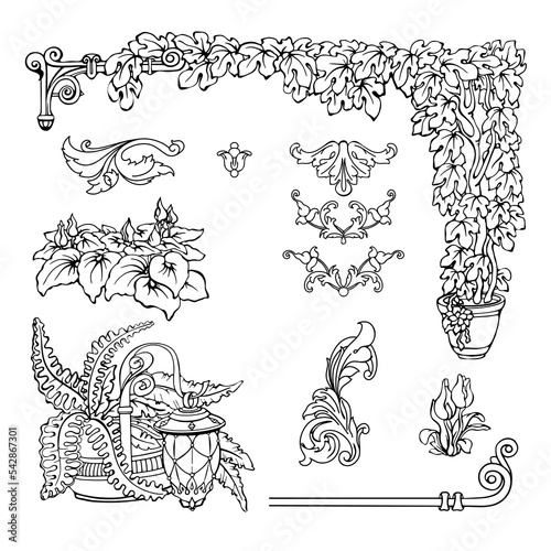 Set of floral decorative elements. Hand drawn exotic plants. Vector.
