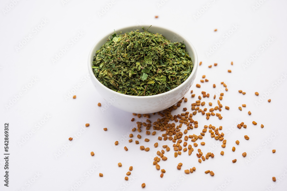 Kasuri Methi or Kasoori Methi or dried fenugreek leaves also known as Trigonella Foenum Graecum Kasuri Methi or Kasoori Methi or dried fenugreek leaves also known as Trigonella Foenum Graecum