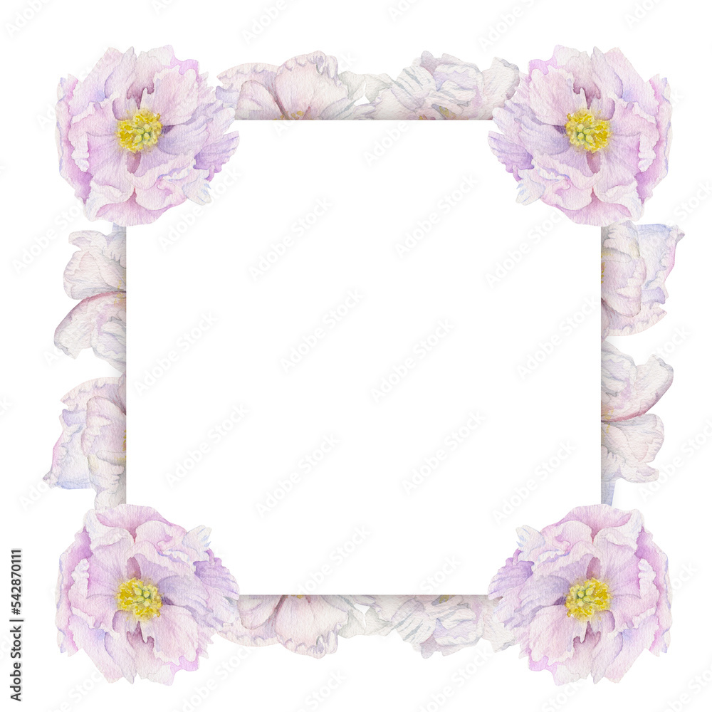 Watercolor square frame arrangement with hand drawn delicate pink peony flowers, buds and leaves. Isolated on white background. For invitations, wedding, love or greeting cards, paper, print, textile