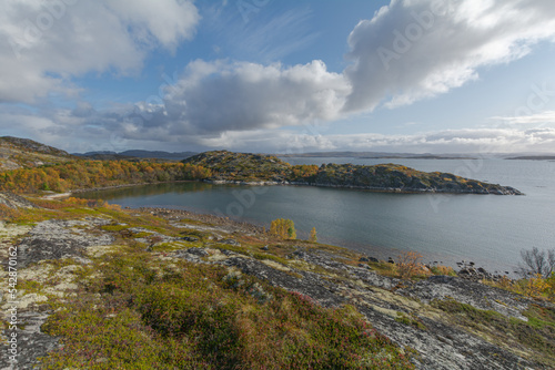 In autumn, tundra with a lake and trees with yellow leaves.