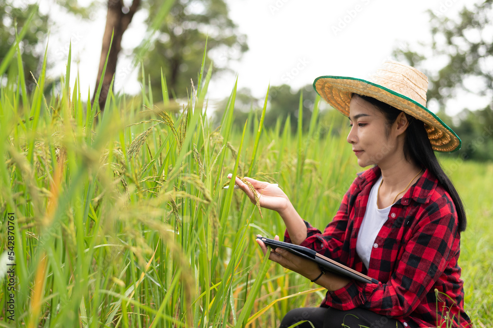 Fototapeta premium young asian agronomist farmer smiling and holding mobile smart tablet