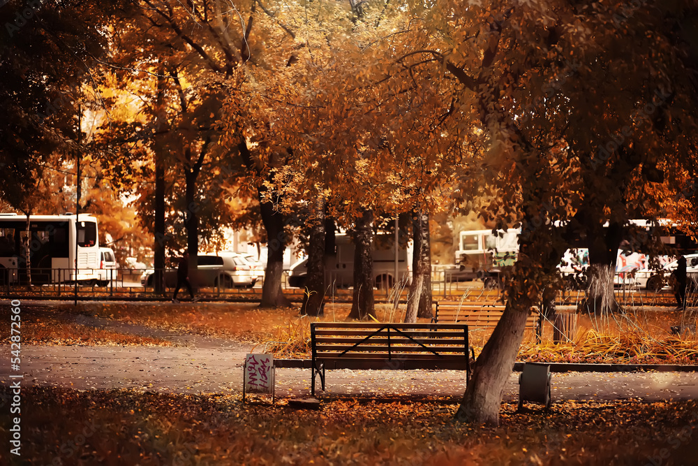 Taking a rest on a wooden bench in the park during autumn season