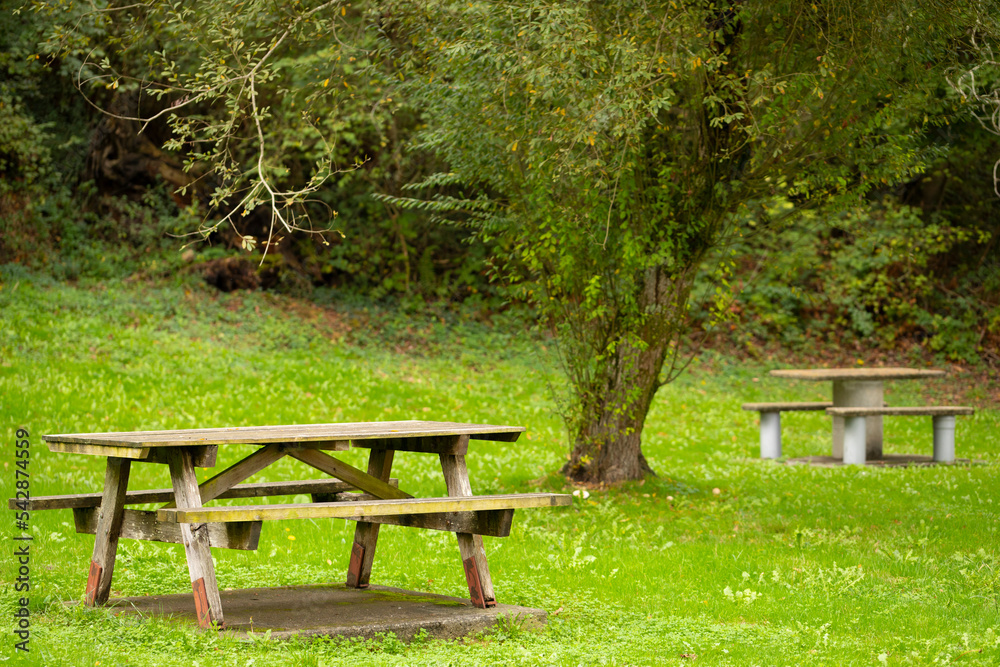 Mesas de picnic en un prado verde Mesas de picnic en un prado verde
