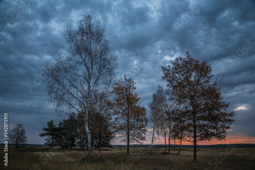Fototapeta Naklejka Na Ścianę i Meble -  Wschód słońca na polu