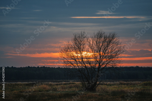 Fototapeta Naklejka Na Ścianę i Meble -  Zachodzące słońce jesienią