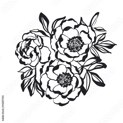 Peony flower silhouette. Vector peony floral element in black and white