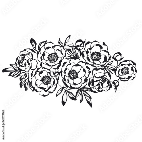 Peony flower elegant header...