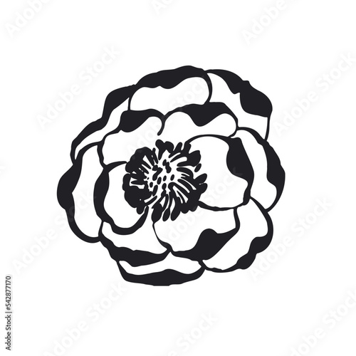  Peony single flower. Vector peony floral element in black and white. Lace style floral svg