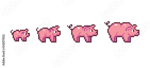 Pig growing stages pixel art set. Piggy development process collection. 8 bit sprite. Game development, mobile app.  Isolated vector illustration.