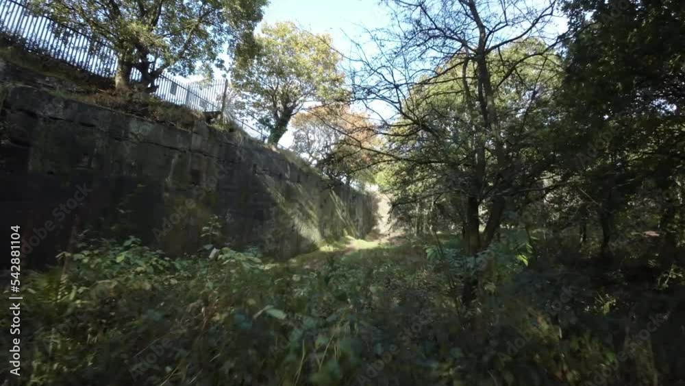 FPV drone weaving through dense quarry autumn woodland with sunlight shining through trees and foliage FPV drone weaving through dense quarry autumn woodland with sunlight shining through trees and foliage