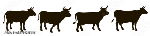 Cow, vector image, black and white drawing. Flat image, stamp, seal, icon, symbol. 