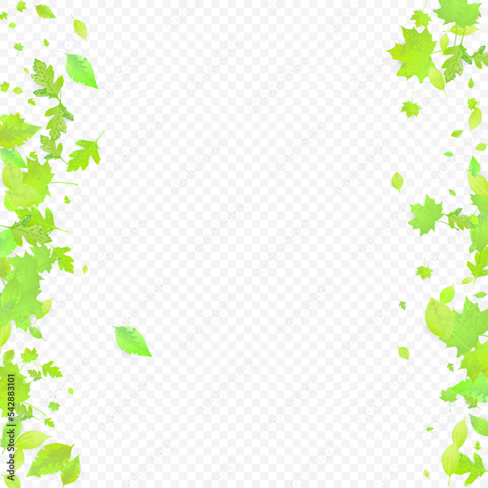 Leaves Falling Spring Flying Foliage Green Leaf Leaves Falling Spring Flying Foliage Green Leaf
