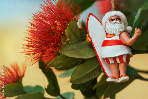 Close-up of flowers of New Zealand's native Pohutukawa tree with Santa Christmas decoration. The tree flowers over the NZ summer and is often referred to as the New Zealand Christmas tree. photo