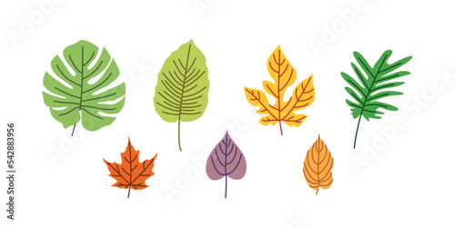 Abstract shapes, modern floral elements big set. Hand drawn doodle geometric and texture collection. Trendy vector illustration isolated on white background. Abstract scribble, drops, line and leaves.