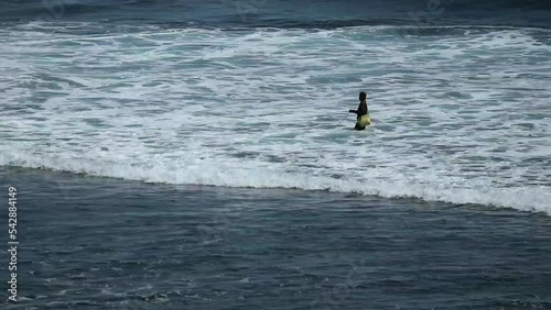 Yogyakarta, Indonesia in October 2022. An angler is fishing against the waves on Yogyakarta's Indrasari beach. photo