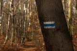 Niebieski szlak namalowany na drzewie. Las jesienią.