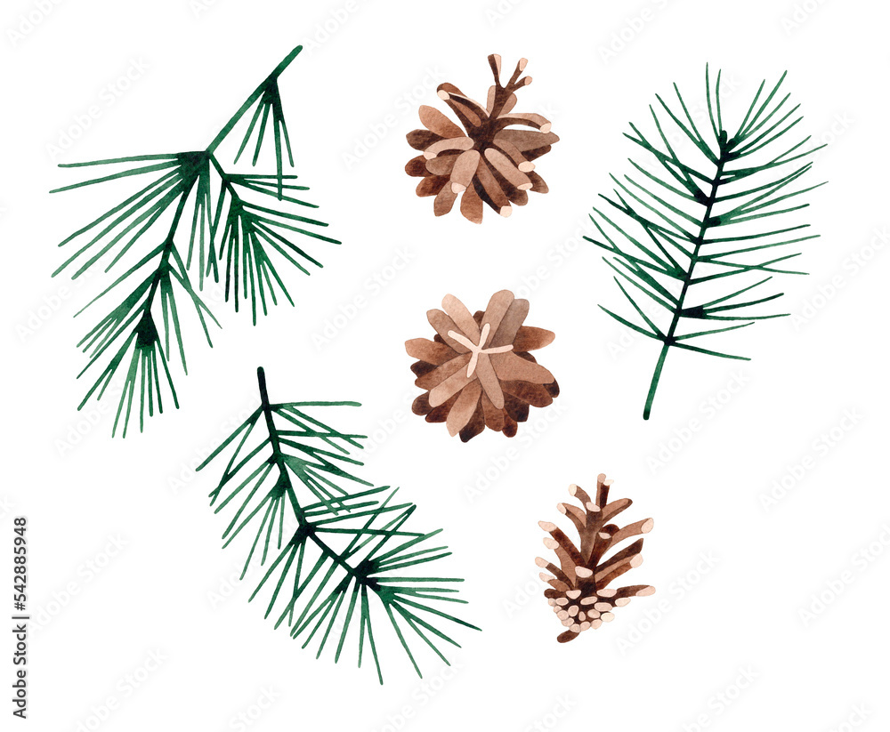 Watercolor hand drawn illustration set of Pine branches with cones ...