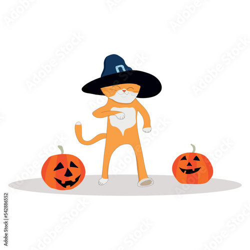 red cute cat goes to the Halloween holiday, dressed in a black hat, between two scary orange pumpkins