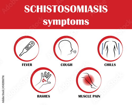 Schistosomiasis,symptoms of disease, icon vector photo