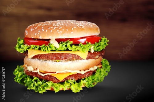 Tasty fresh Sandwich or burger with meat