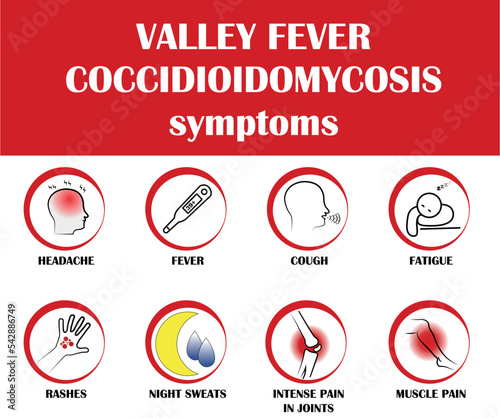 Valley fever - Coccidioidomycosis, symptoms of disease, icon vector