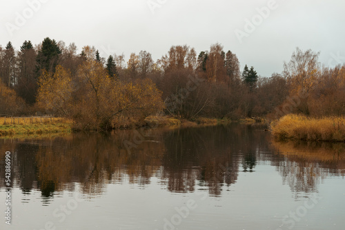 By the mount of Lenaelva River, Toten, Norway, at Sundvika Wetland Reserve, in fall.