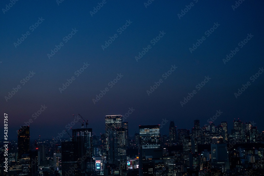 Fototapeta premium Tokyo's night landscape shot from Ebisu area to cover key Tokyo main districts
