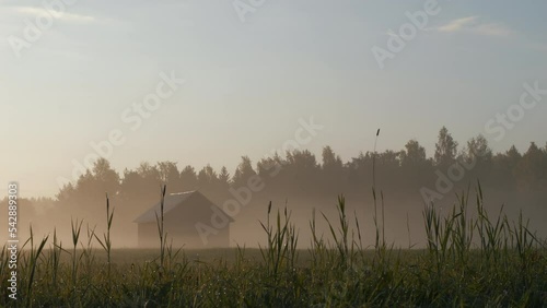 Dstant barn on open field on the border of Russia and Ukraine, crops covered in morning mist, Slow trucking shot photo