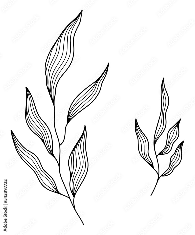 Engrave style botanical plant leaves line art Engrave style botanical plant leaves line art