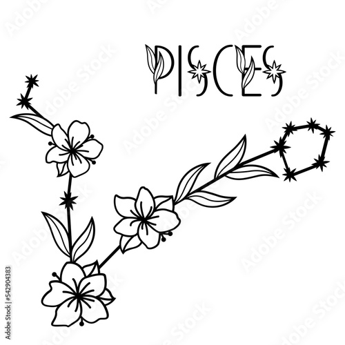 Pisces zodiac sign svg, Floral constellation svg, Horoscope monogram