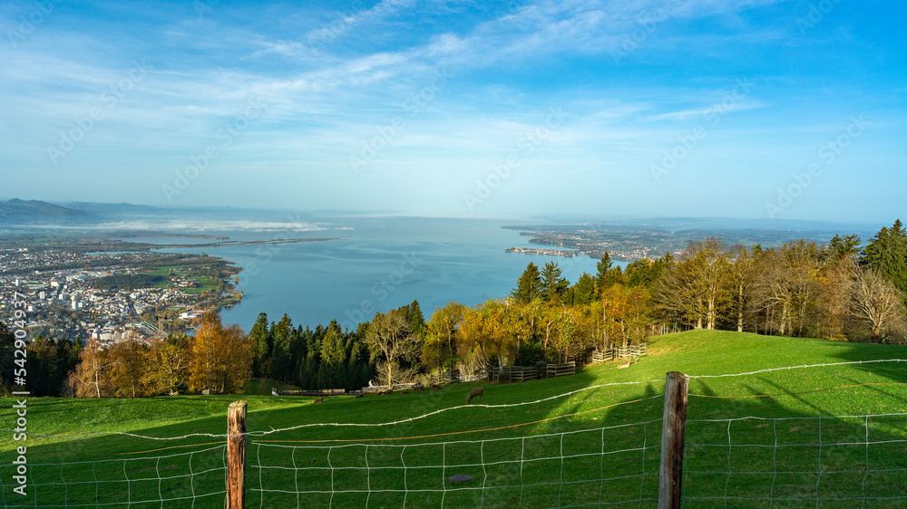 Fototapeta premium Herbstliches Panorama vom Pfänder über den Bodensee, Dunst und Saharasand liegen in der Luft und schaffen ein mystisches Bild mit orangen und gelben Laubbäumen, Bregenz, Stadt im Tal. Bodensee