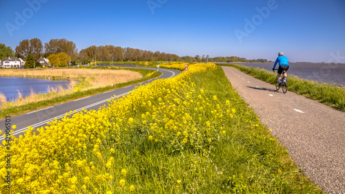 Bicycle track with cyclist with yellow flowers photo